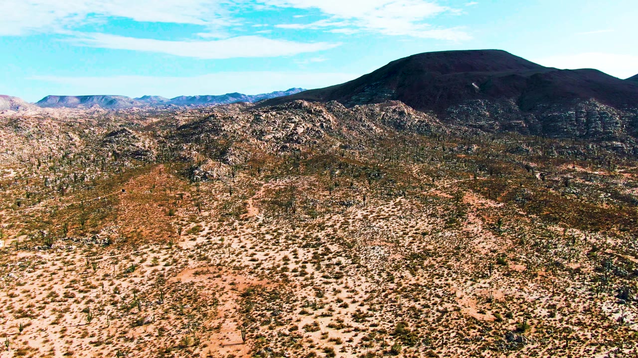 Open desert basin with scattered shrubs and mountains across the horizon.