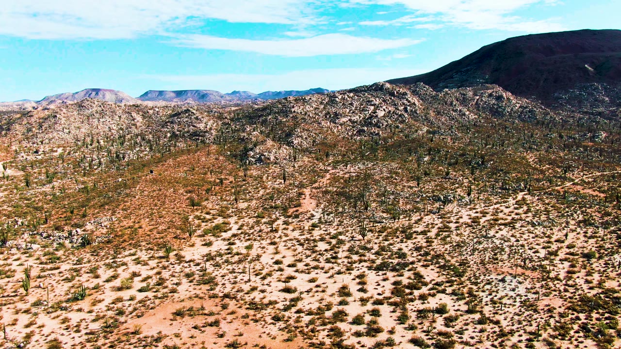 Wide aerial frame over Catavina BC Mexico desert with sandy ground, scattered shrubs, tall cacti, rocky hills, a dark distant mountain, and no visible people.