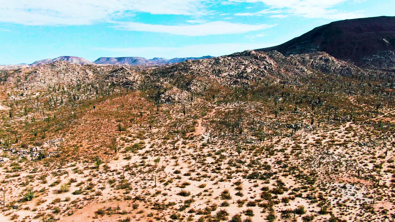Aerial view in Catavina BC Mexico showing sandy foreground dotted with shrubs, upright cacti through the midground, rocky ridge detail, distant hills, and no visible people.