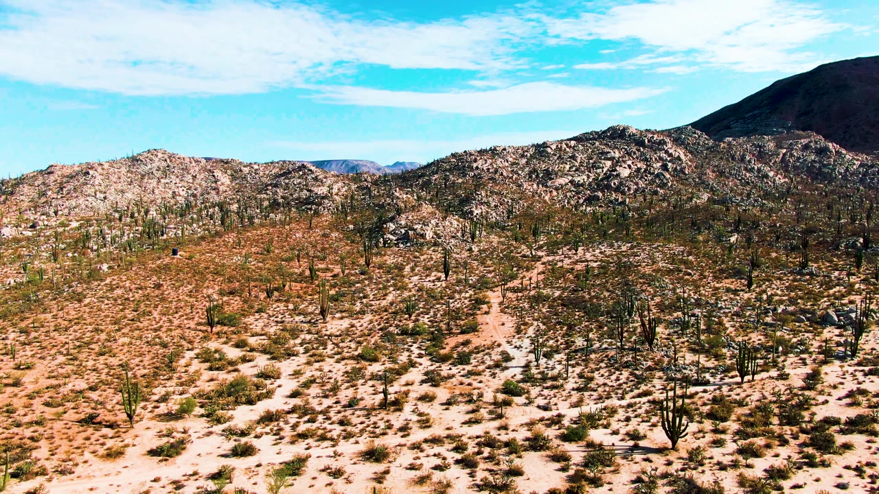 Mid-clip frame in Catavina, Mexico with sandy foreground scrub, multiple tall cacti, mottled rocky hills, a dark ridge near the top edge, bright blue sky, and no visible people.