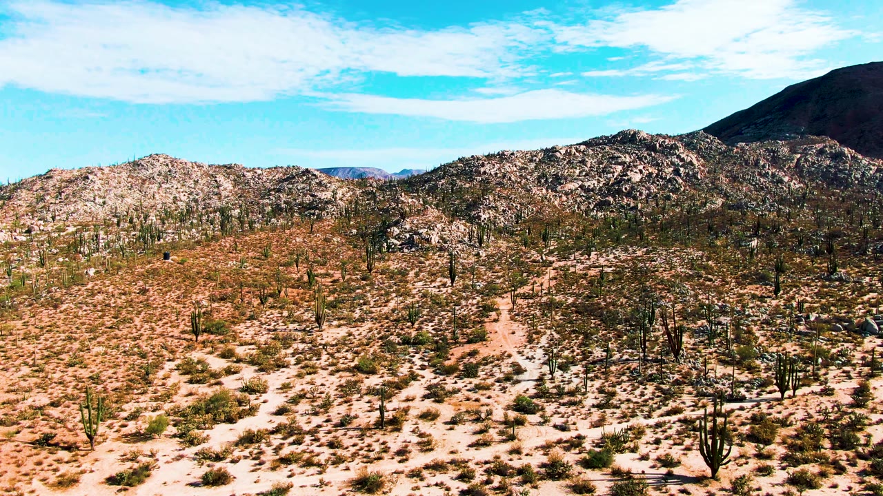 Wide Catavina desert with cacti, scrub, rocky hills, and open sky