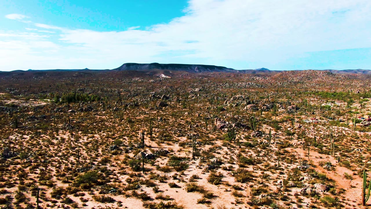 Wide aerial view over Catavina BC Mexico desert with saguaro cacti, scrub, rocky sandy ground, distant mountains, blue sky, and no visible people.