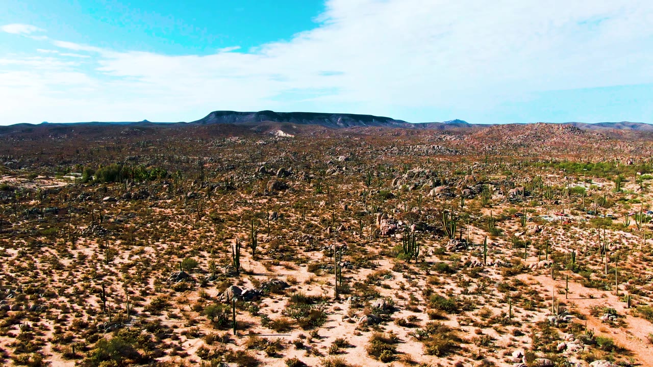 Elevated Catavina BC Mexico desert frame showing tall cacti, boulder clusters, sparse green scrub, a flat dark ridge, pale clouds, and no visible people.
