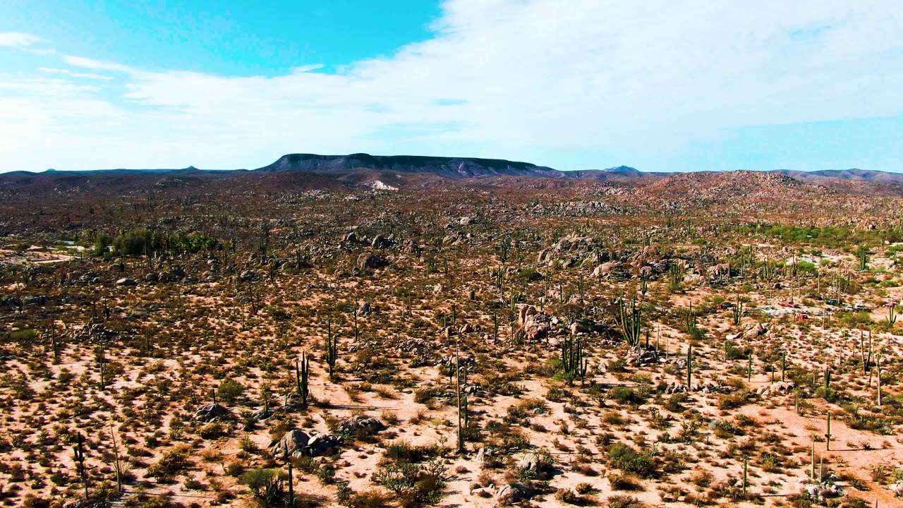 Aerial frame from Catavina BC Mexico with rocky cactus plain, scattered shrubs, brown hills, a long mountain horizon, bright blue sky, and no visible people.