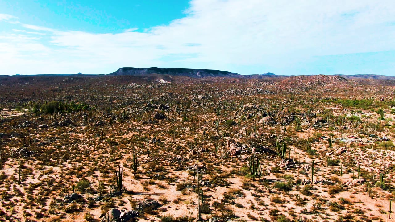 Desert wash and cactus field with mountains across the horizon