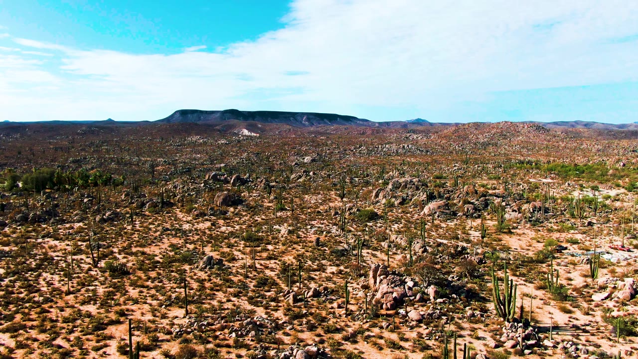Aerial view of cactus-covered desert with boulders and distant mountains