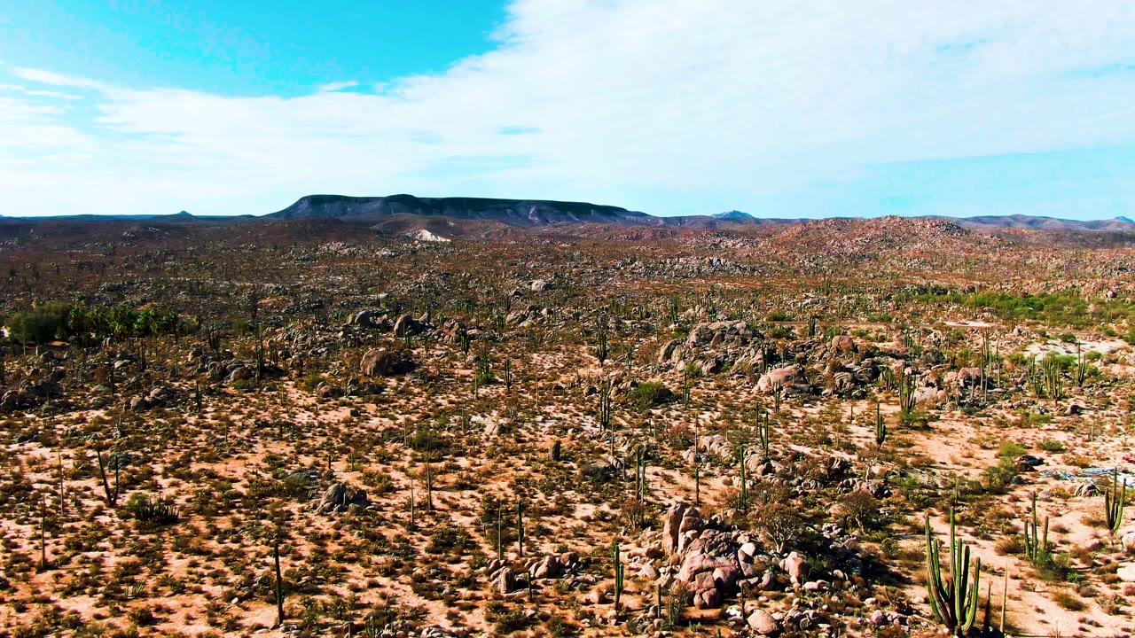 Early frame from Catavina BC Mexico showing cactus clusters and pale sandy patches in the foreground, rocky outcrops through the midground, distant mountains, and no visible people.