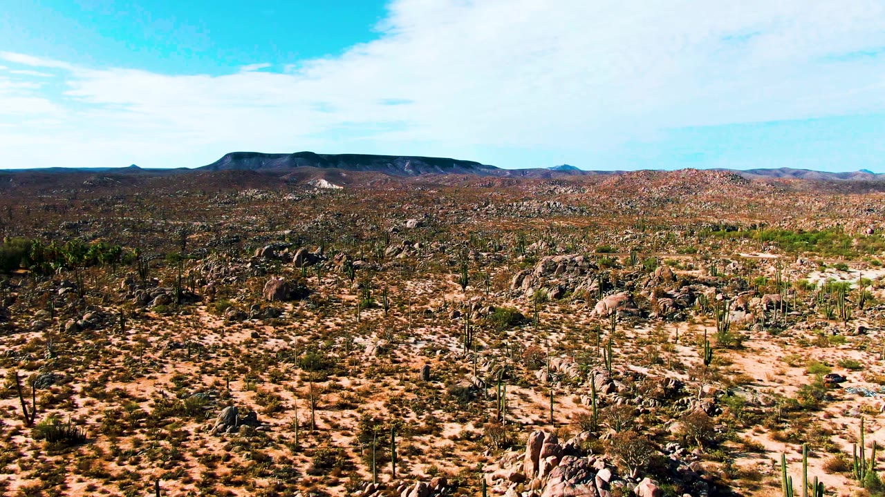 Catavina BC Mexico desert aerial with a denser field of boulders in the lower frame, upright cacti across the sandy terrain, a long low mountain ridge, and no visible people.