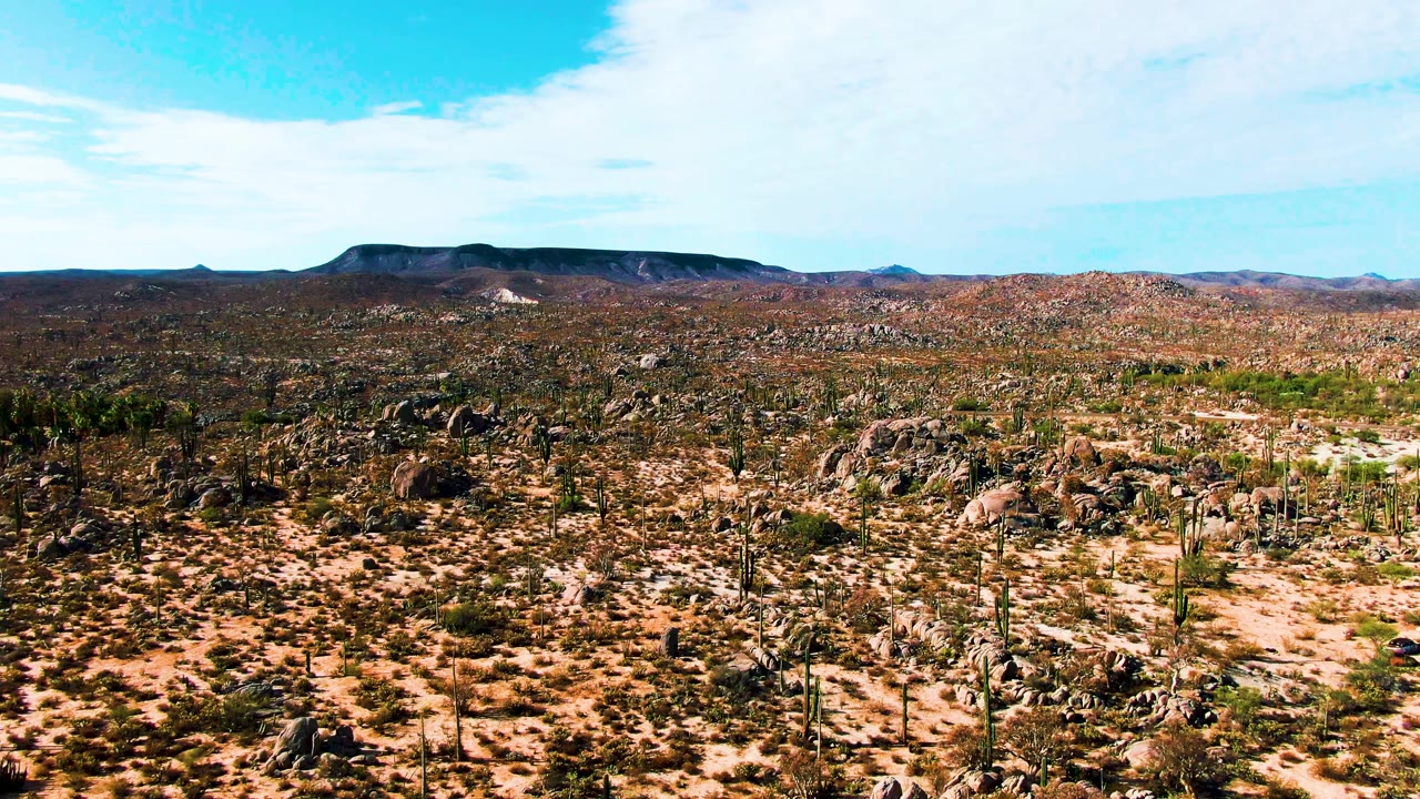 Mid-clip aerial view in Catavina BC Mexico with cactus, scrub, and rock formations spread across sandy desert, a dark ridge at the horizon, and no visible people.