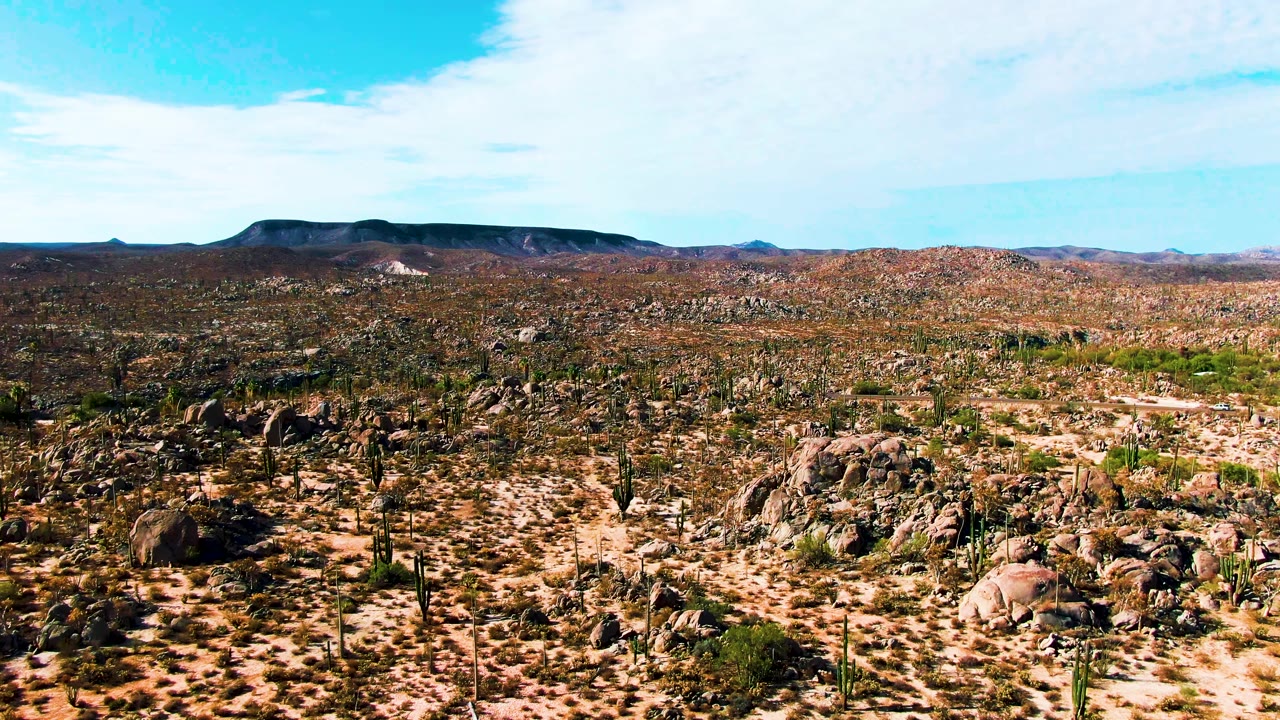 Opening frame of Catavina BC Mexico desert with scattered cacti, boulder clusters, sandy ground, distant mountains, thin cloud, and no visible people.