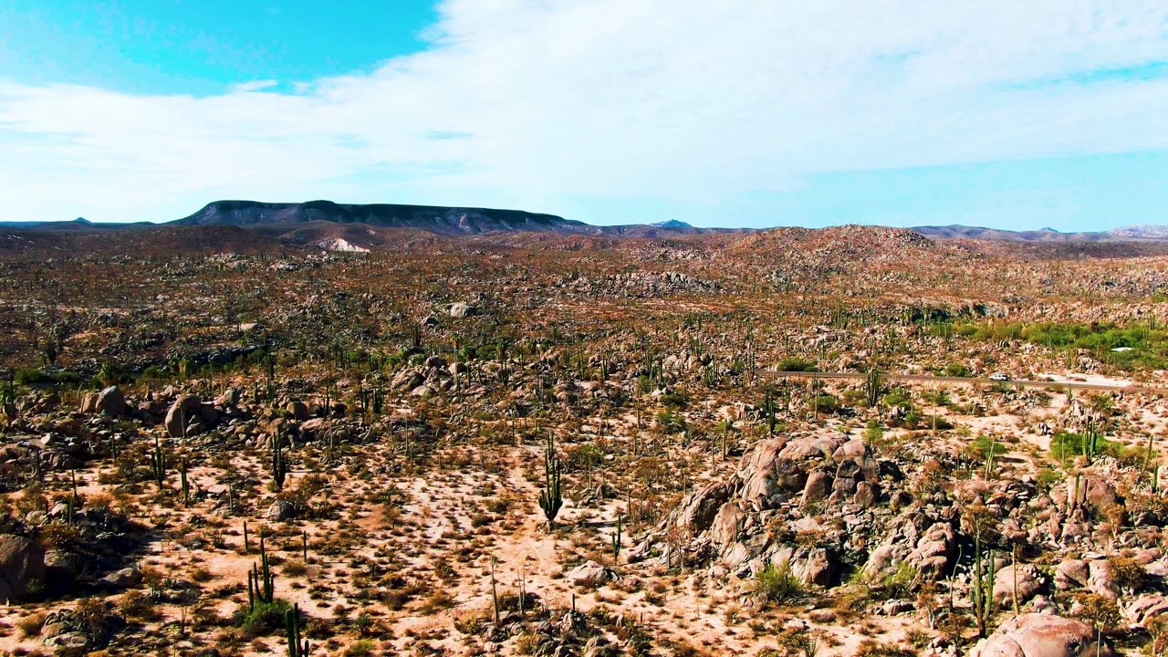 High view across Catavina BC Mexico terrain with rounded boulders in the foreground, cactus and scrub across the midground, distant hills, bright daylight, and no visible people.