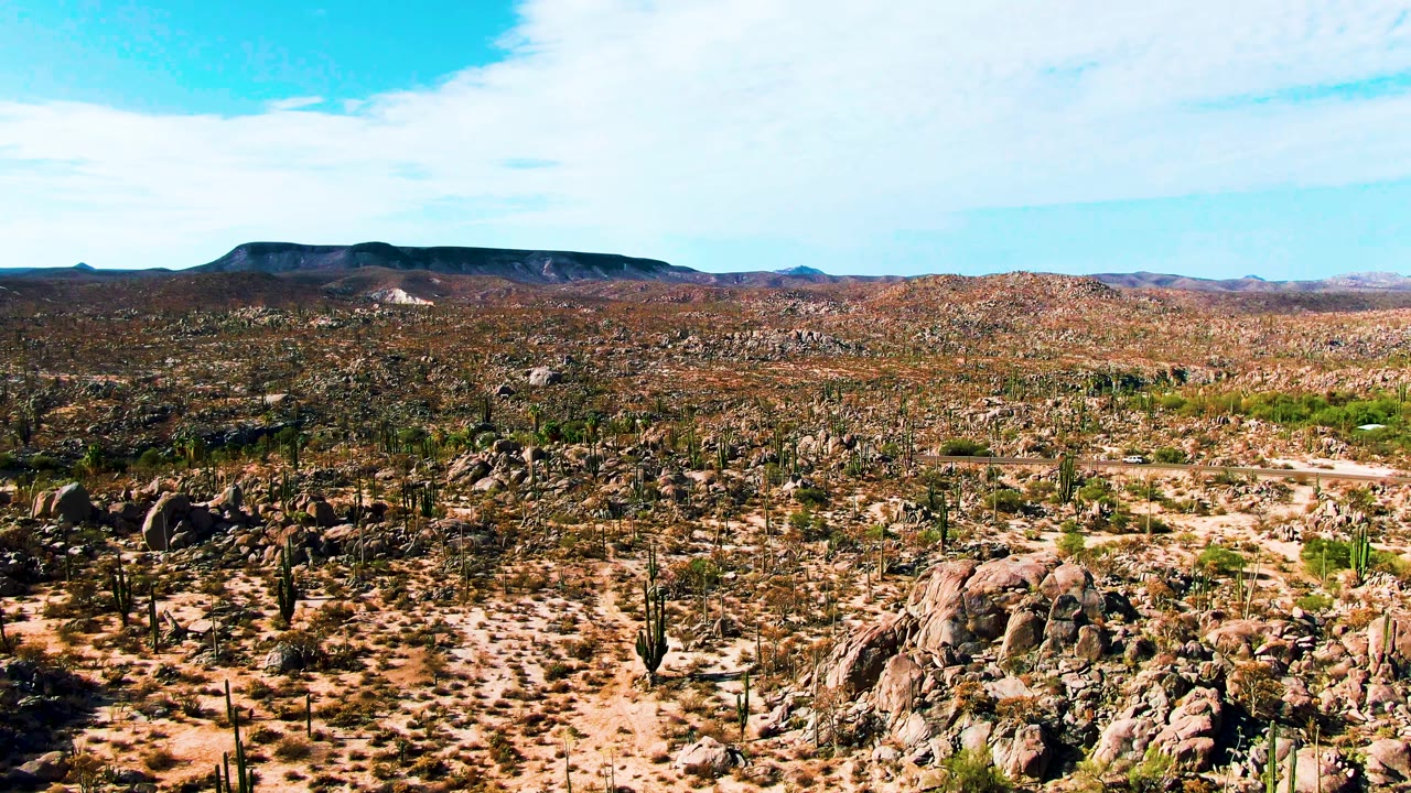 Aerial desert landscape with cactus clusters, rocks, mountains, and open sky.