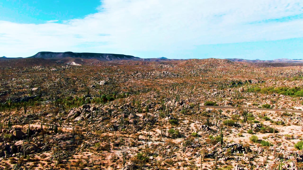 Rocky cactus desert with a flat-topped hill on the horizon.