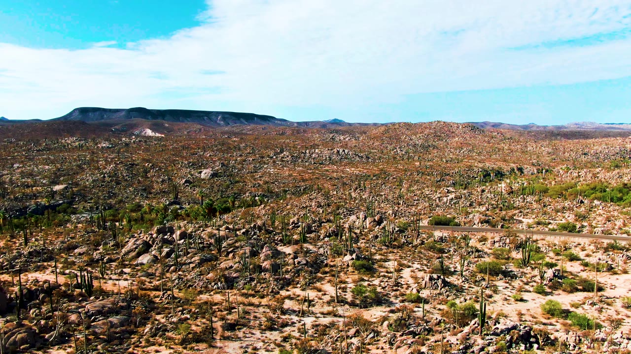 Catavina BC Mexico desert frame showing scattered boulders, clusters of cacti, pale sandy patches, distant hills, blue sky, and no visible people.