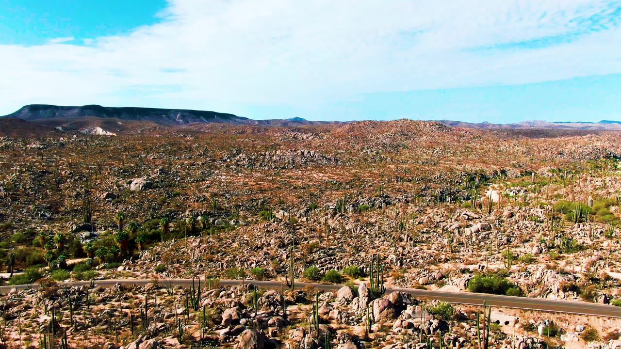 Elevated frame of Catavina BC Mexico desert with the road near the lower edge, dense rocks and cacti across the middle distance, and no visible people.