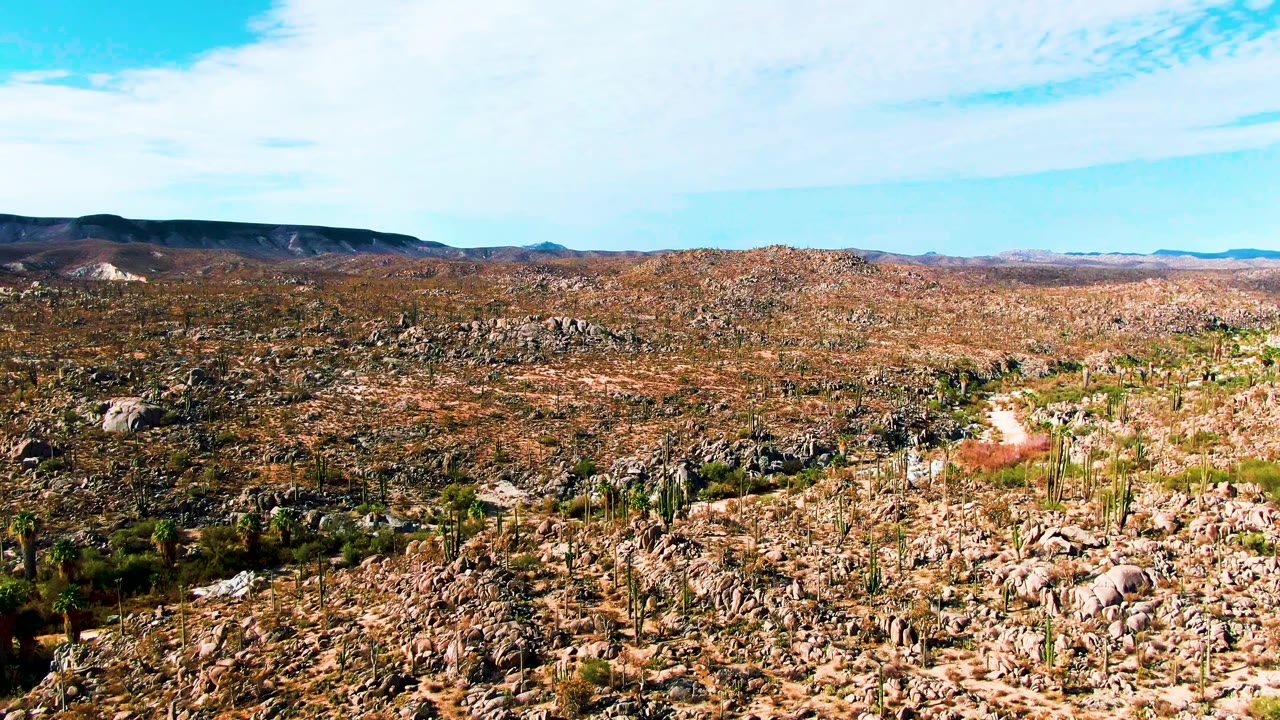 Wide view of rocky desert terrain in Catavina BC Mexico with scattered cacti, a pale dirt path, distant dark ridges, thin clouds, and no visible people.