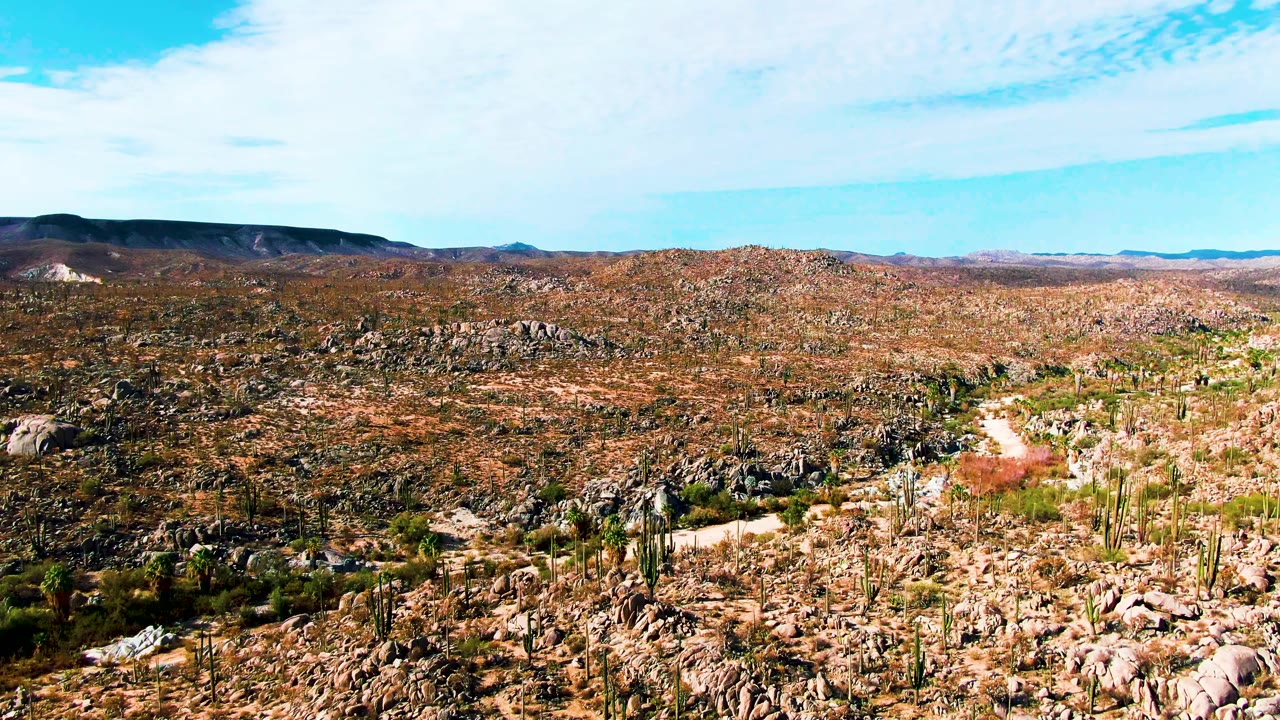 Broad Catavina BC Mexico desert view with rust-colored scrub, clustered rocks, tall cacti, a winding dirt track in the lower terrain, and no visible people.