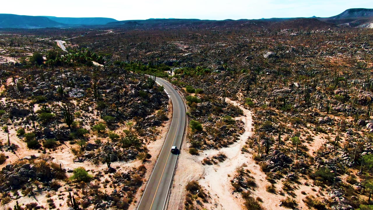 Car on road through desert rocks and cacti