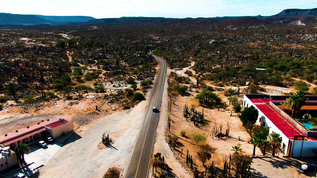 Desert road with a car passing low buildings and cactus-covered terrain.