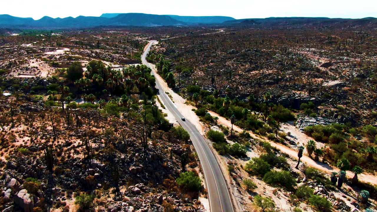 Aerial view in Catavina BC, Mexico, with the road running up the left side of the frame, cactus clusters and pale sandy patches beside it, and no visible people.