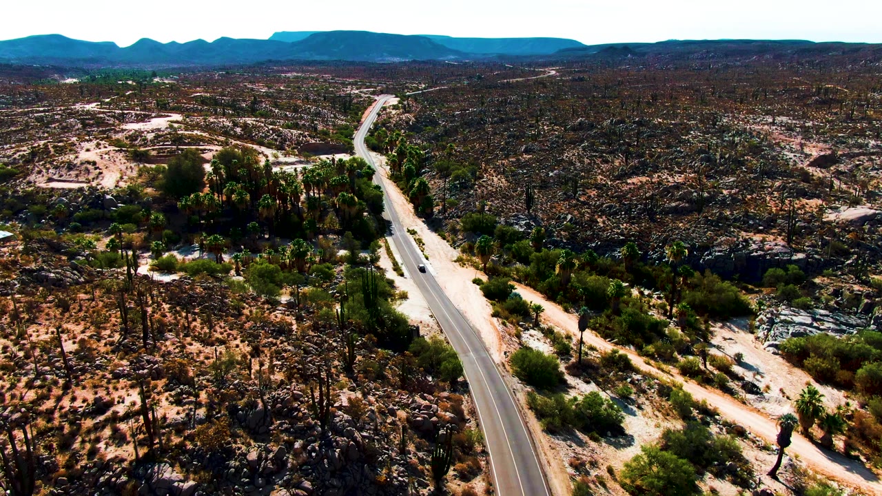 Aerial view in Catavina BC, Mexico, with a cactus grove near the road, dark rocky ground across the midground, and distant blue mountains, with no visible people.