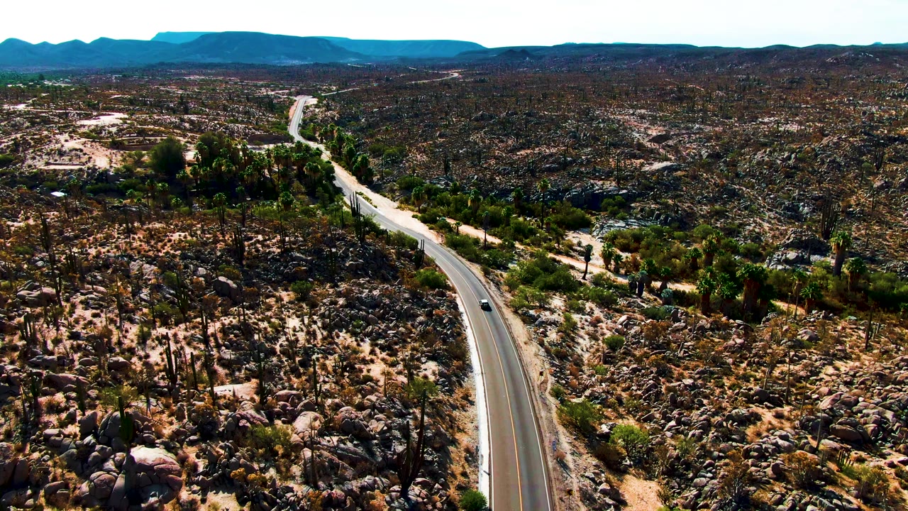 Aerial frame in Catavina BC Mexico showing the car farther along the pale road, with dense rocky desert, scattered tall cacti, green shrub patches, blue mountain ridges, and no visible people.
