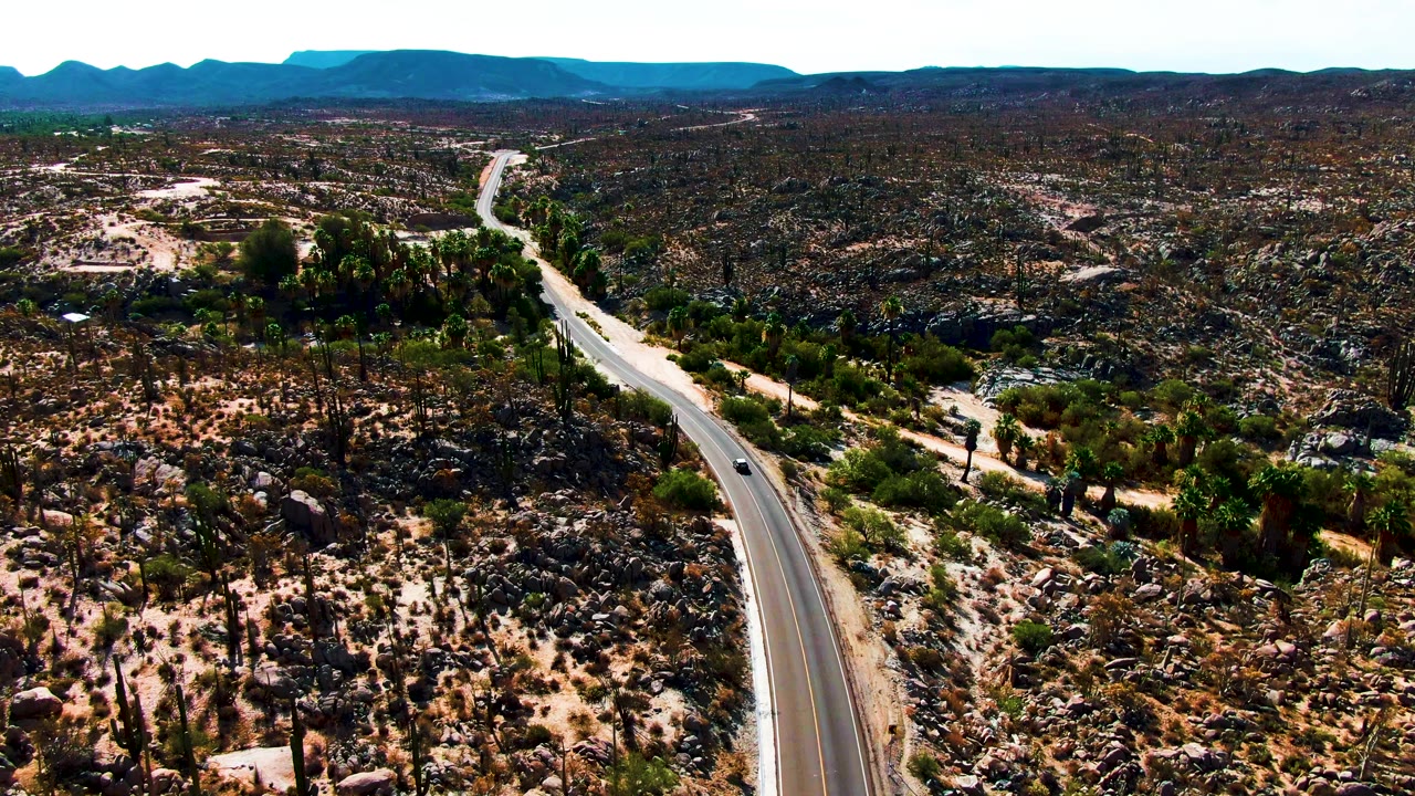 Wide aerial of a car approaching a desert road curve among cacti and rocks.