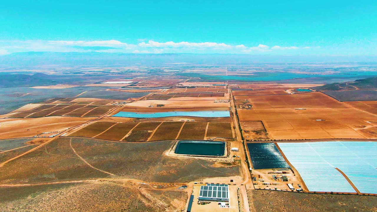 Aerial frame in San Quintin BC Mexico showing brown field blocks, pale blue water reservoirs, a dark reservoir, a small solar installation at the bottom, straight access roads, and no visible people.