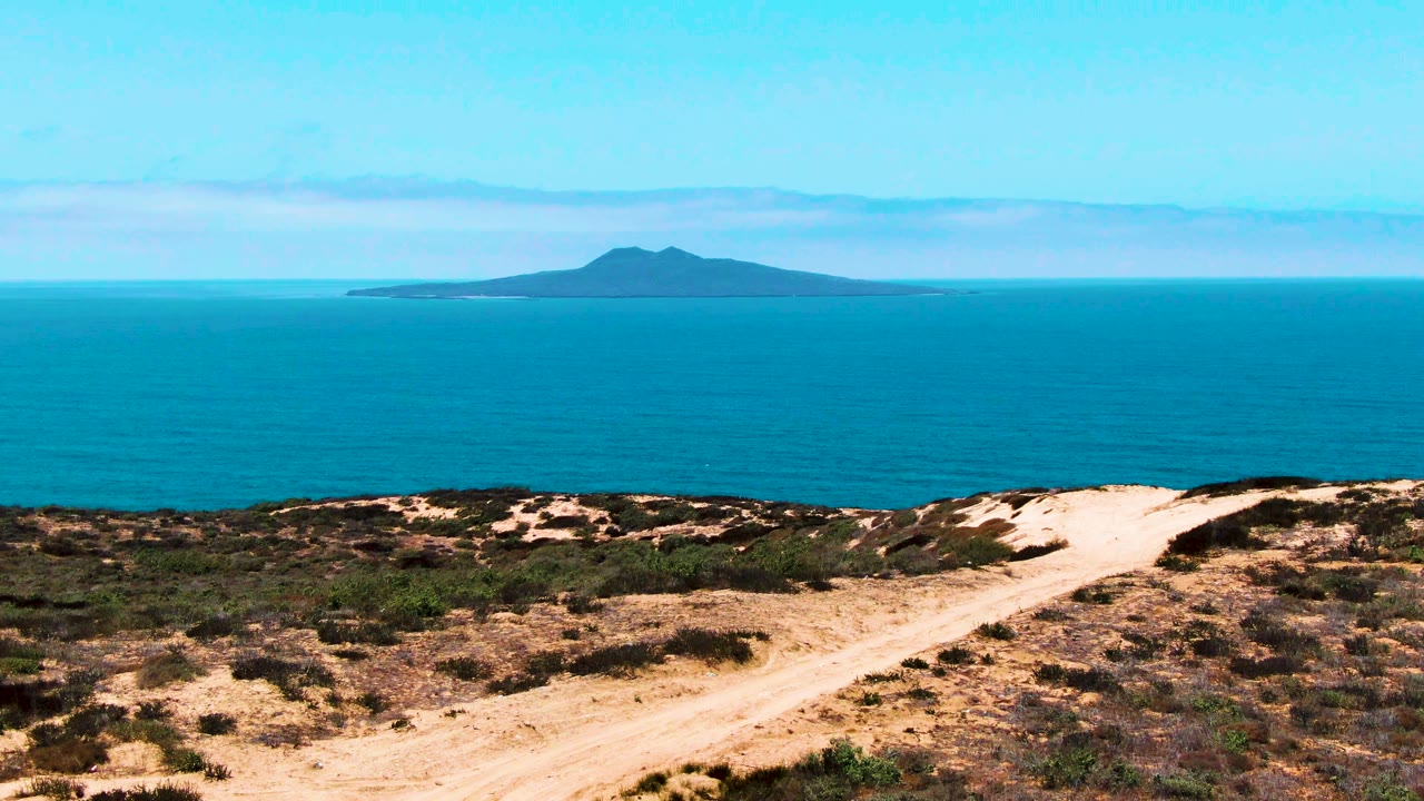 Wide view of San Quintin coastal dunes with pale sand, scattered low vegetation, deep blue ocean, a low island in the distance, and no visible people.