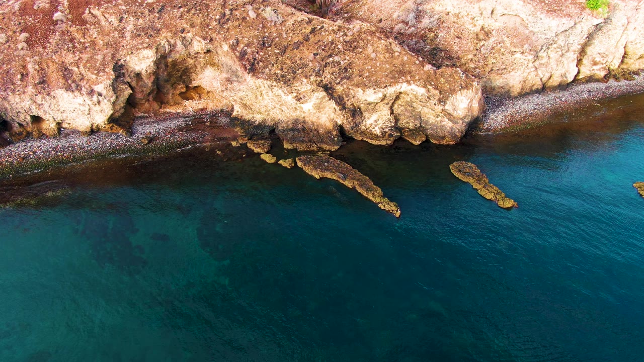 Overhead Santa Rosalia shoreline frame with rust-colored rocks at the top, dark teal water below, and the small bird crossing mid-left with no visible people.