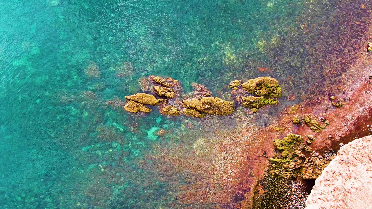 Clear turquoise water reveals submerged stones around algae-covered coastal rocks, with the Santa Rosalia shore edge visible at the right and no visible people.