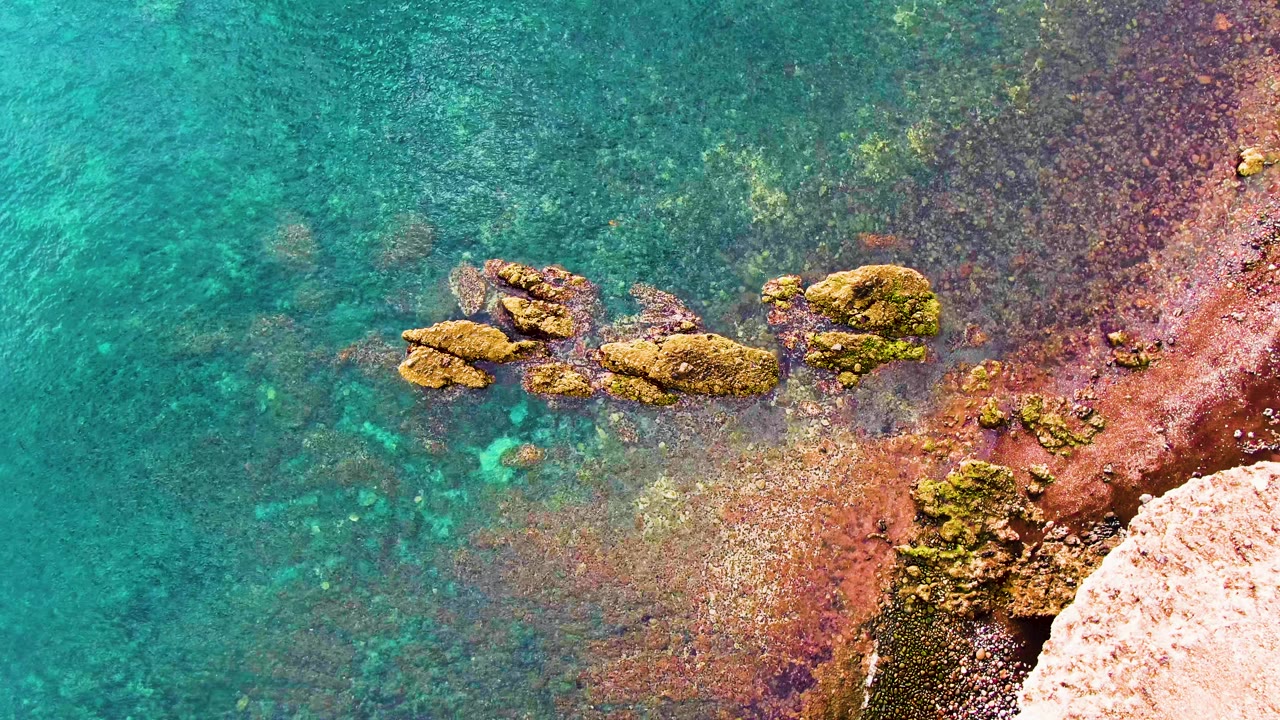 Turquoise water covers a shallow rocky seabed while mossy stones break the surface near the Santa Rosalia shore, with no visible people or structures.