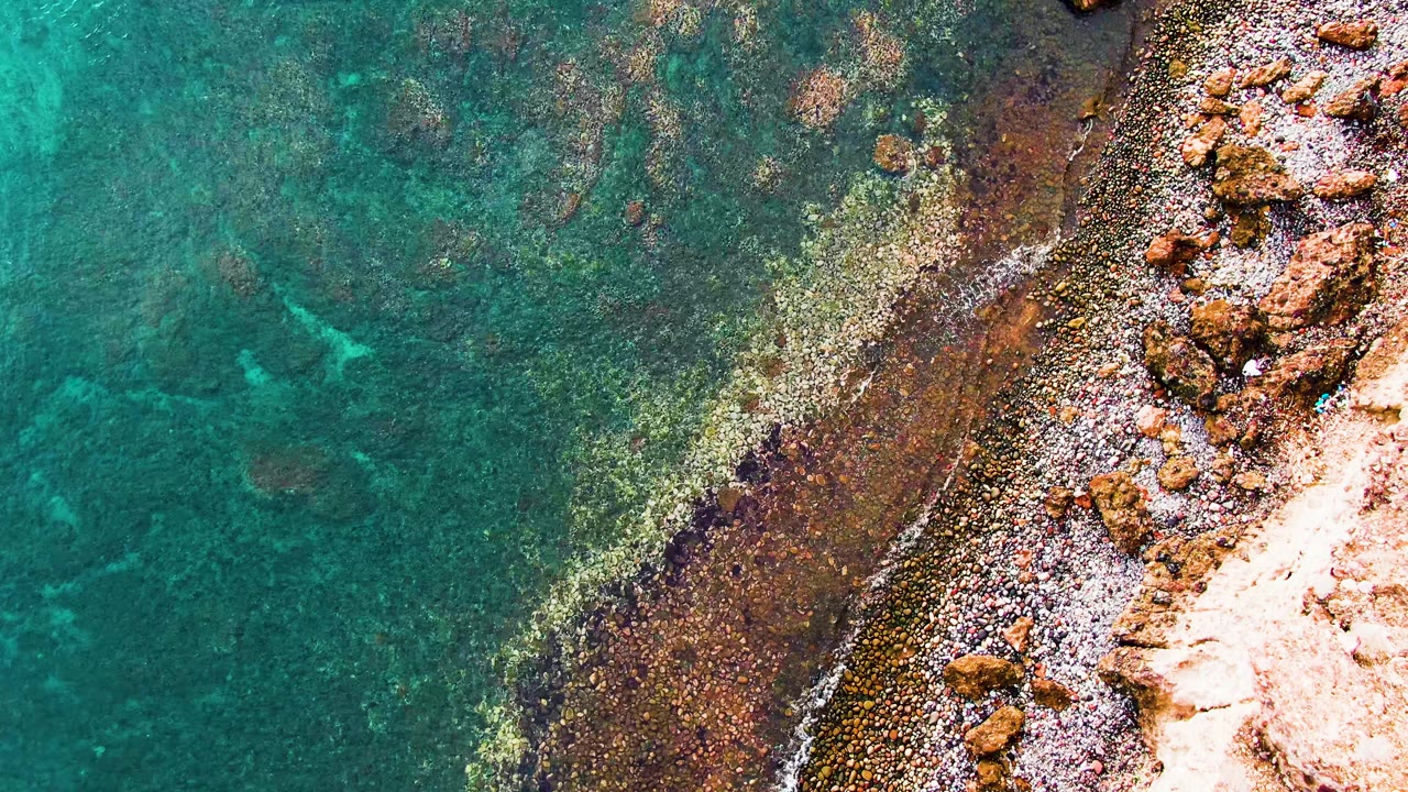 Overhead frame of clear turquoise water meeting a rocky Santa Rosalia shoreline, with submerged brown patches, pale stones at right, and no visible people.