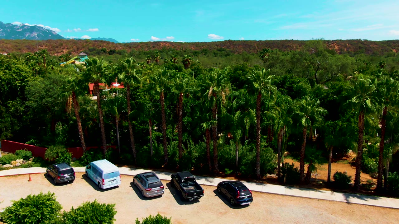 Aerial view in Caduano, Baja California Sur showing parked cars at the edge of a pale lot, dense palm trees, distant mountains, blue sky, and no visible people.