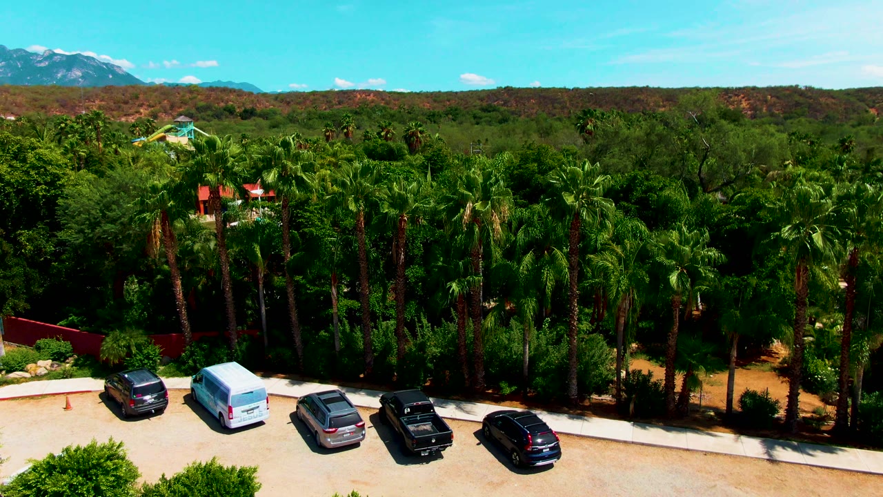 Elevated Caduano frame with a white van and dark cars parked below tall palms, a red boundary wall, distant ridges, blue sky, and no visible people.