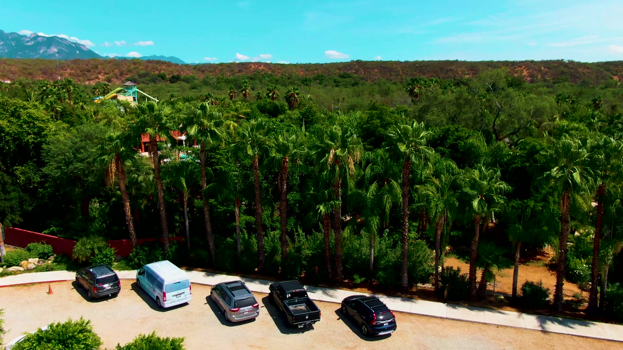 Aerial view over Caduano with multiple parked vehicles along the lower edge, dense palm trees across the middle, low mountains in back, clear blue sky, and no visible people.