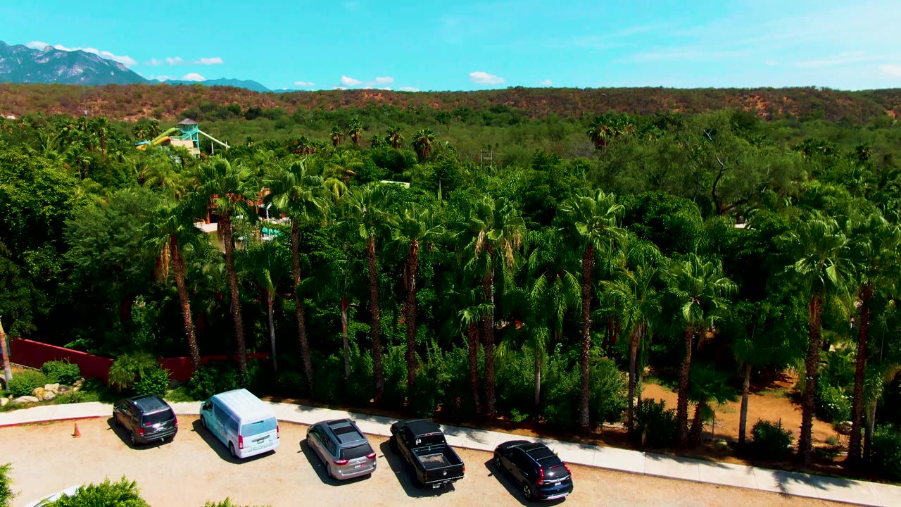 Palm-filled property edge with parked cars and distant mountains
