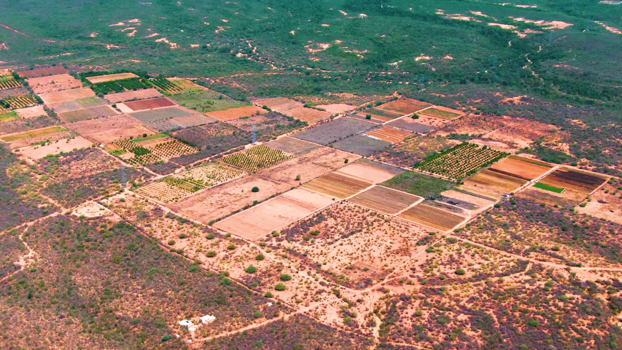 Aerial view of rectangular farm fields and dry scrubland