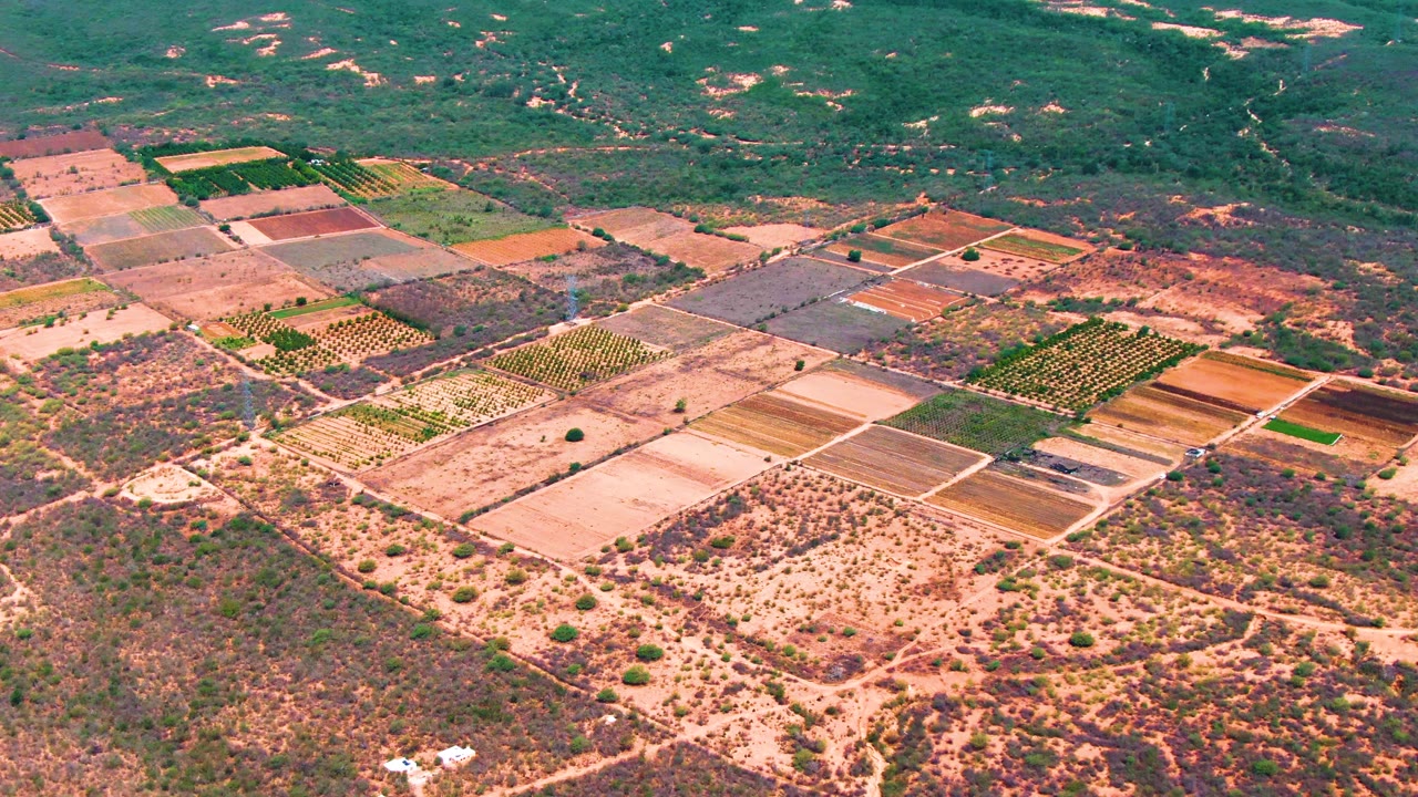 High aerial frame of Caduano agricultural fields with pale dirt tracks, mixed green and brown crop rectangles, dry brush at the lower edge, distant hills, and no visible people.