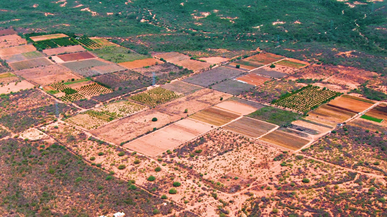 Drone-height view of Caduano farmland where orderly green rows and tan plowed sections sit below a band of low green hills, with no visible people.