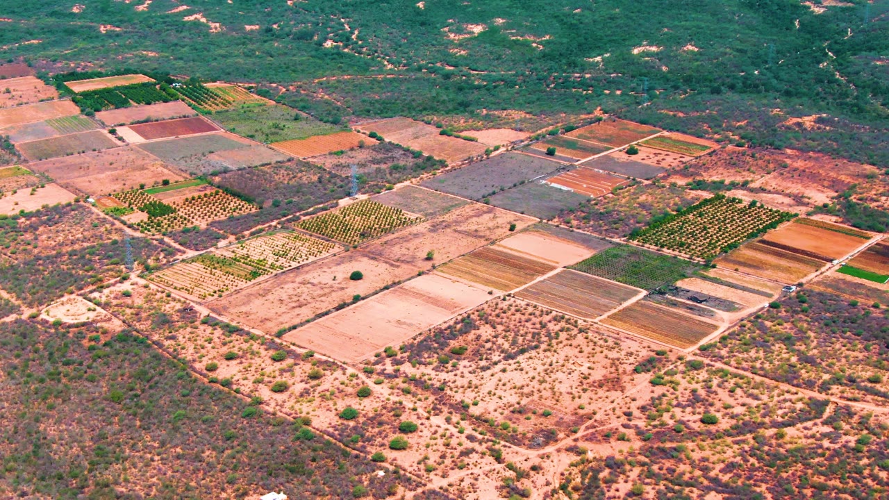 Aerial frame over Caduano showing a patchwork of agricultural parcels, pale access roads, arid vegetation in the foreground, green hills along the top of frame, and no visible people.
