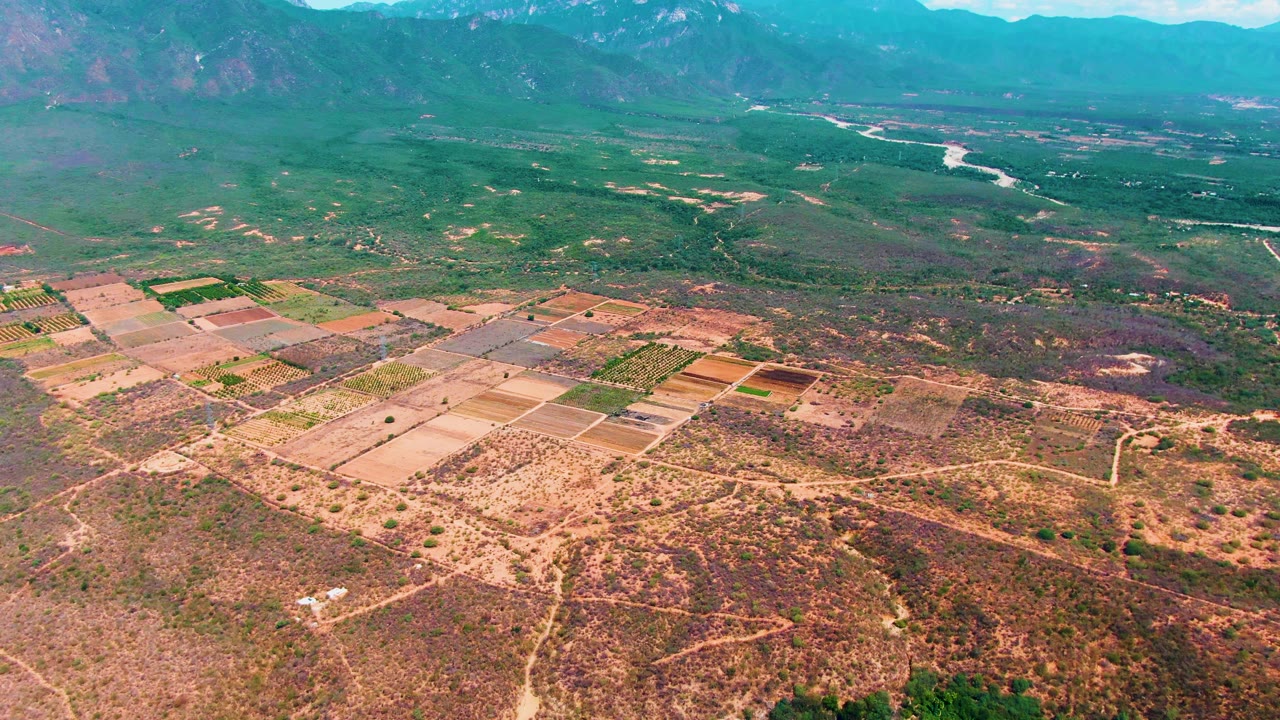 Aerial frame over Caduano, Baja California Sur, with rectangular farmland blocks, dry brown foreground terrain, a distant river corridor, mountains, and no visible people.