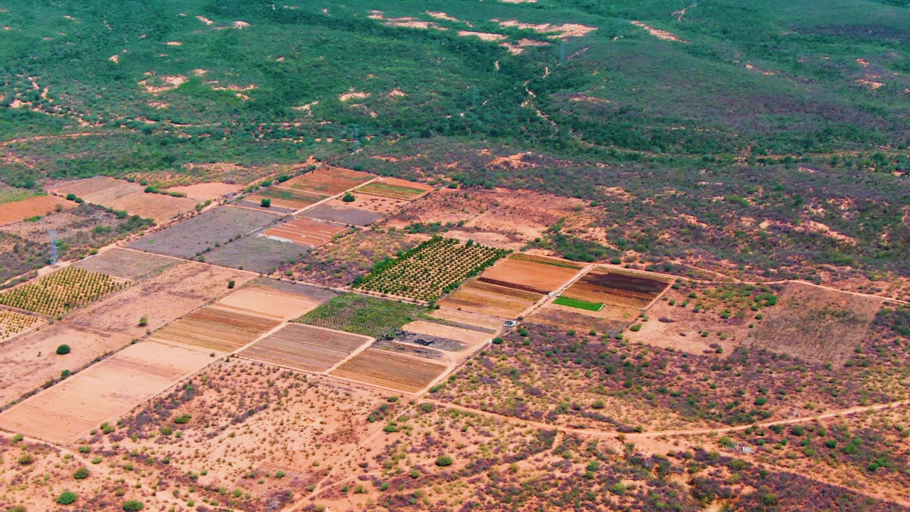 High aerial view over Caduano, Baja California Sur farmland, with rectangular fields, dry scrub, green hills, a distant river, and no visible people.