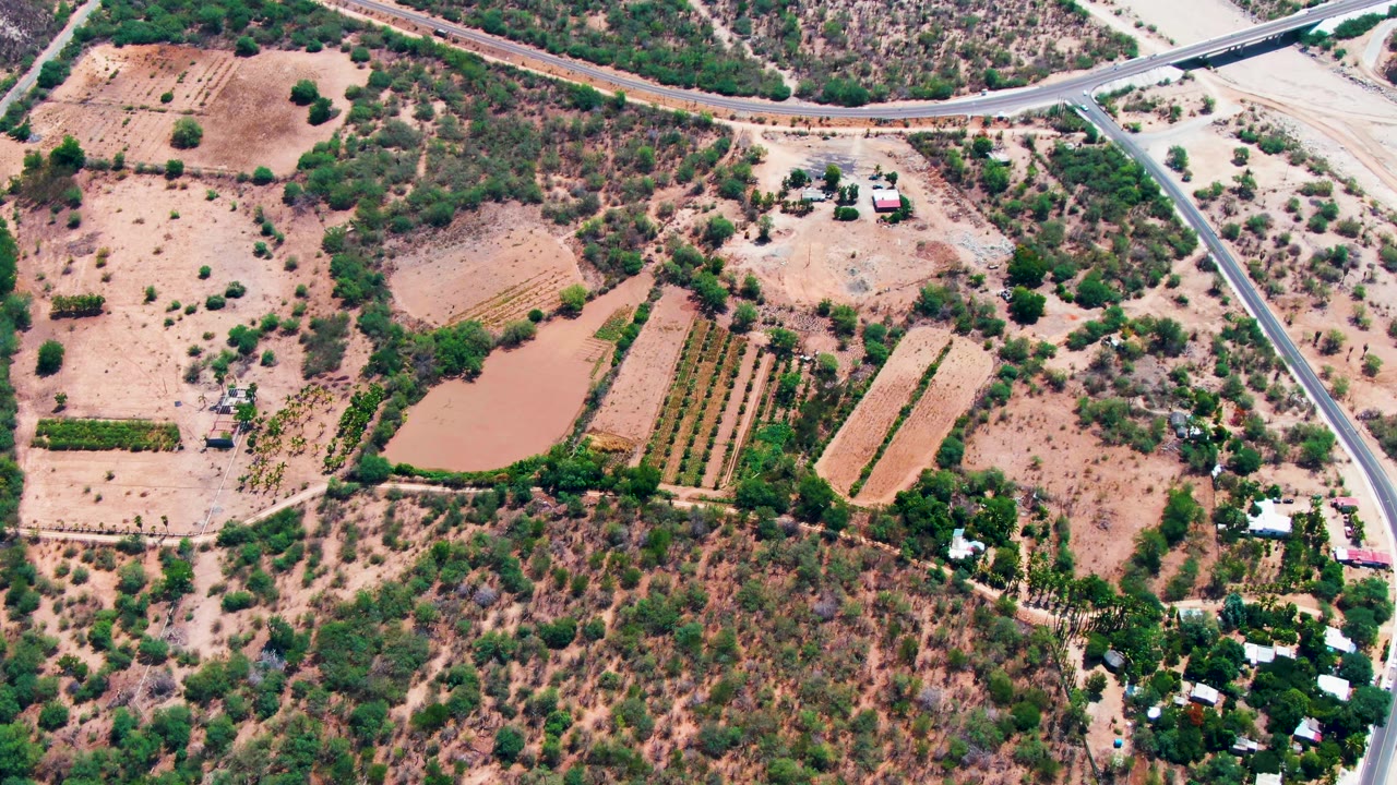 Overhead aerial view in Caduano, Baja California Sur, showing dry farmland, a muddy pond, crop rows, scattered scrub, paved roads, and no visible people at the start of the clip.