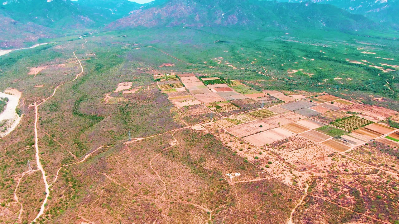 Drone view across Caduano, Baja California Sur, Mexico, with the farm blocks shifted right of center, a pale riverbed on the left, green valley floor beyond, and no visible people.