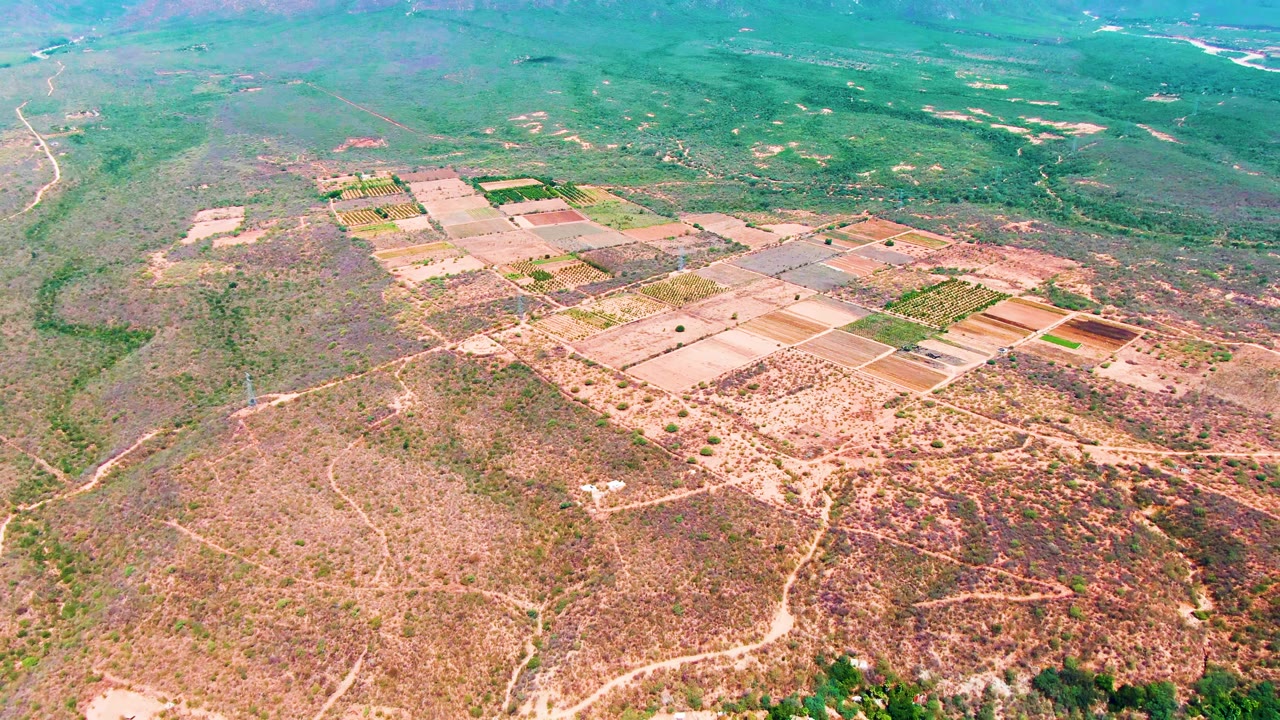 Aerial frame over Caduano, Baja California Sur showing tan and green agricultural plots beyond dry scrub terrain, with dirt roads and a river corridor in the background, no visible people.