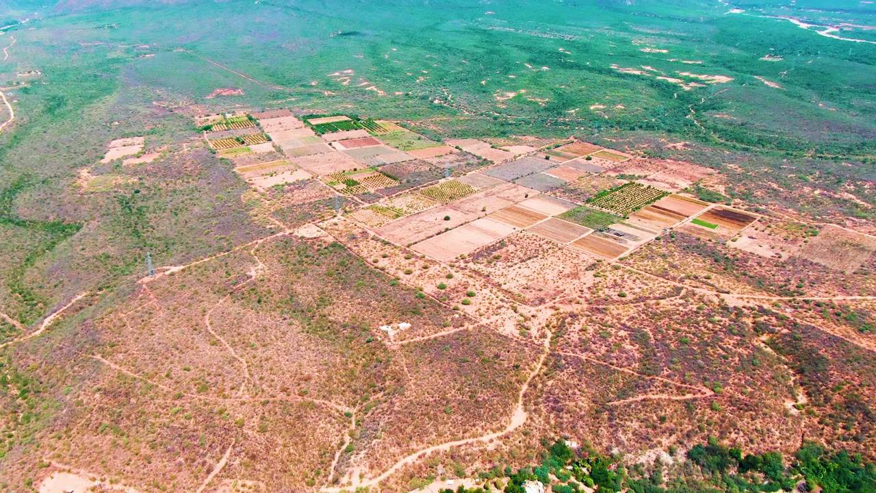 Aerial view in Caduano, Baja California Sur with rectangular field blocks centered in frame, pale dirt tracks through dry foreground terrain, and a green river area along the distant valley, no visible people.
