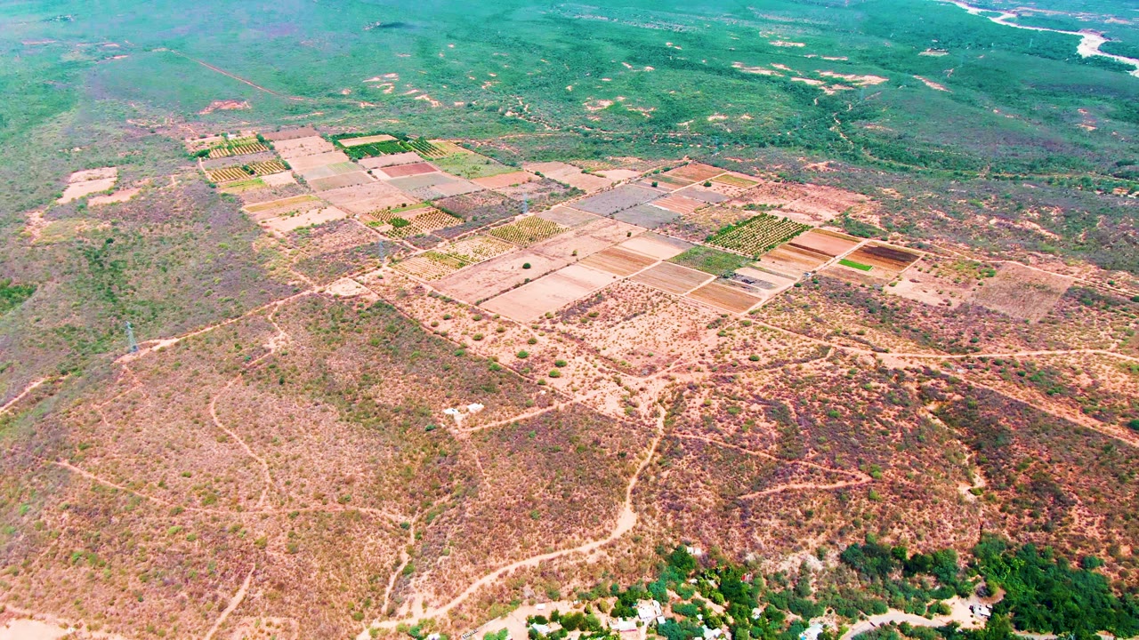 Drone view of agricultural plots surrounded by scrubland, dirt roads, and a distant river line.