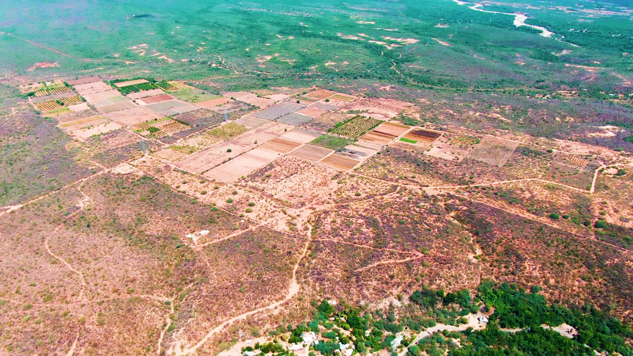 High aerial frame over Caduano farmland with the rectangular field grid slightly left of center, dirt paths across dry terrain, green hills beyond, and no visible people.