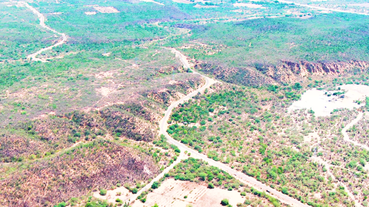 A high drone-like view in Caduano, Baja California Sur looks down on a winding road bordered by scrub vegetation, rocky ridges, and dry clearings, with no visible people.